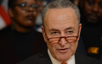 Florida picked a fight with Chuck Schumer to stop this terrifying problem for 2024