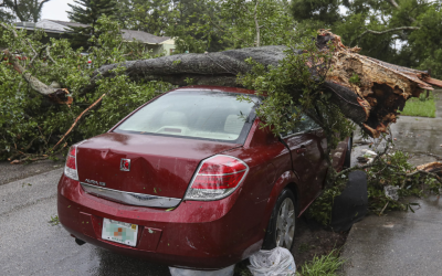 Florida made one scary rescue mission after the hurricane that put Kamala Harris on notice