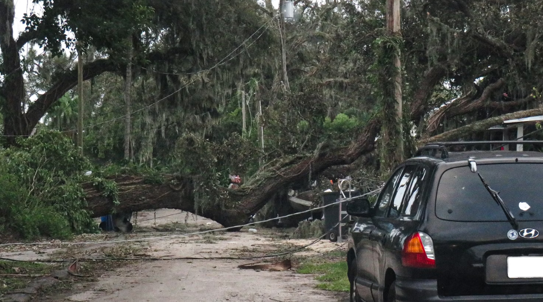 Hurricane Milton’s deadly wind and storm surge were no match for this 76-year-old Florida man