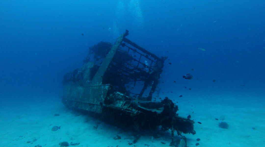 Florida treasure hunters made one stunning find from the past in the ocean