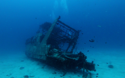 Florida treasure hunters made one stunning find from the past in the ocean