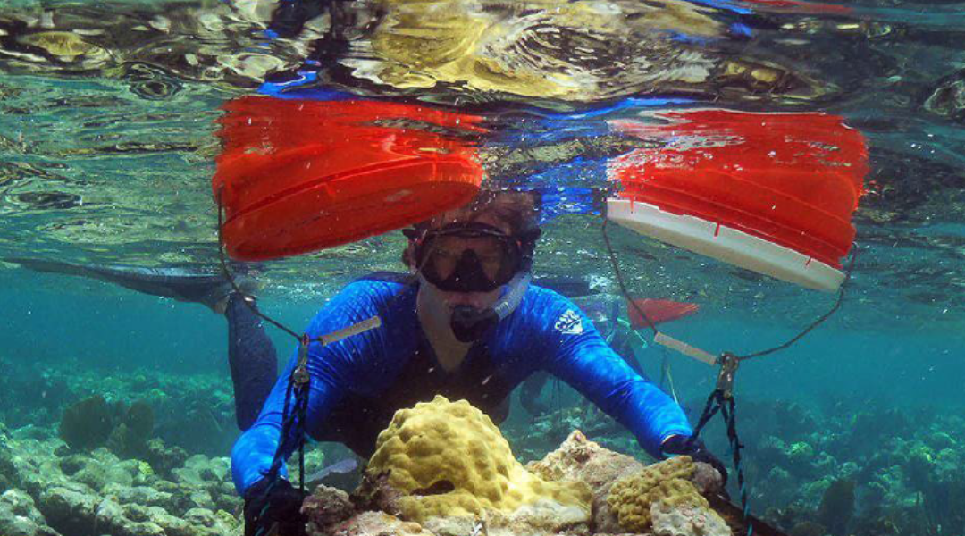 A Florida diver found one treasure that left Donald Trump in stunned silence