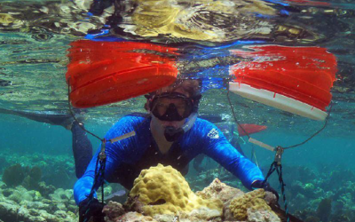 A Florida diver found one treasure that left Donald Trump in stunned silence